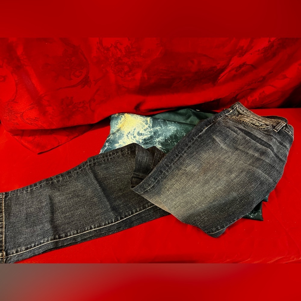 7 for All Mankind Rhigby Jeans